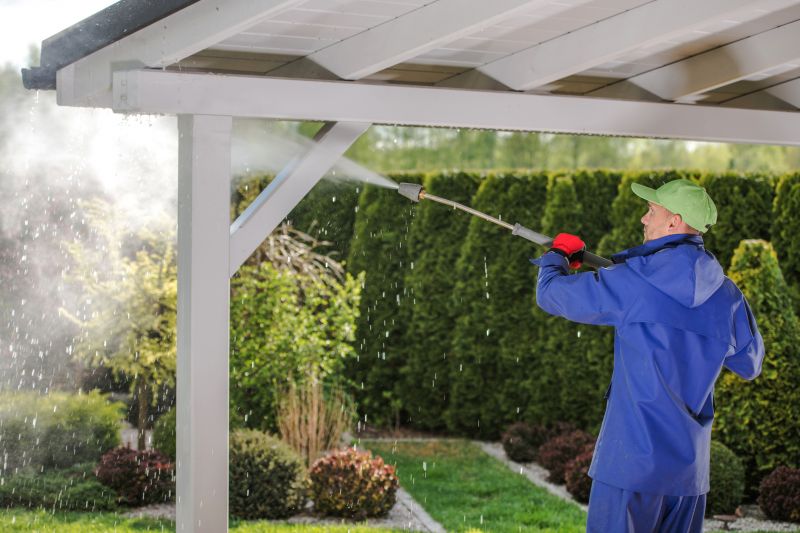Patio Paint Removal