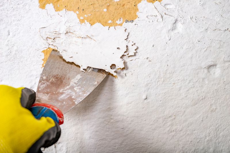 Patio Paint Removal detail