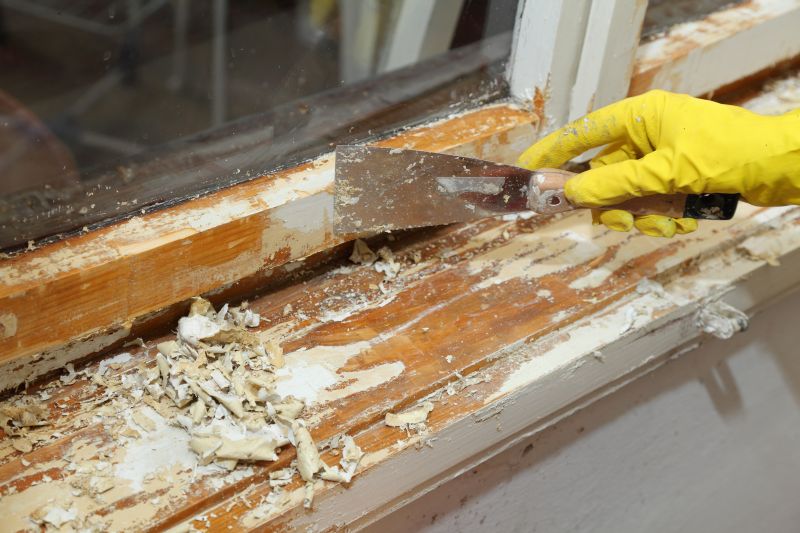Wood Paint Removal